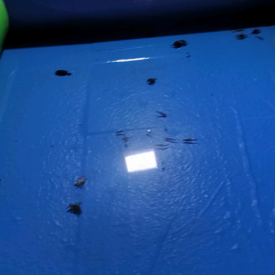 矿丰源钢材