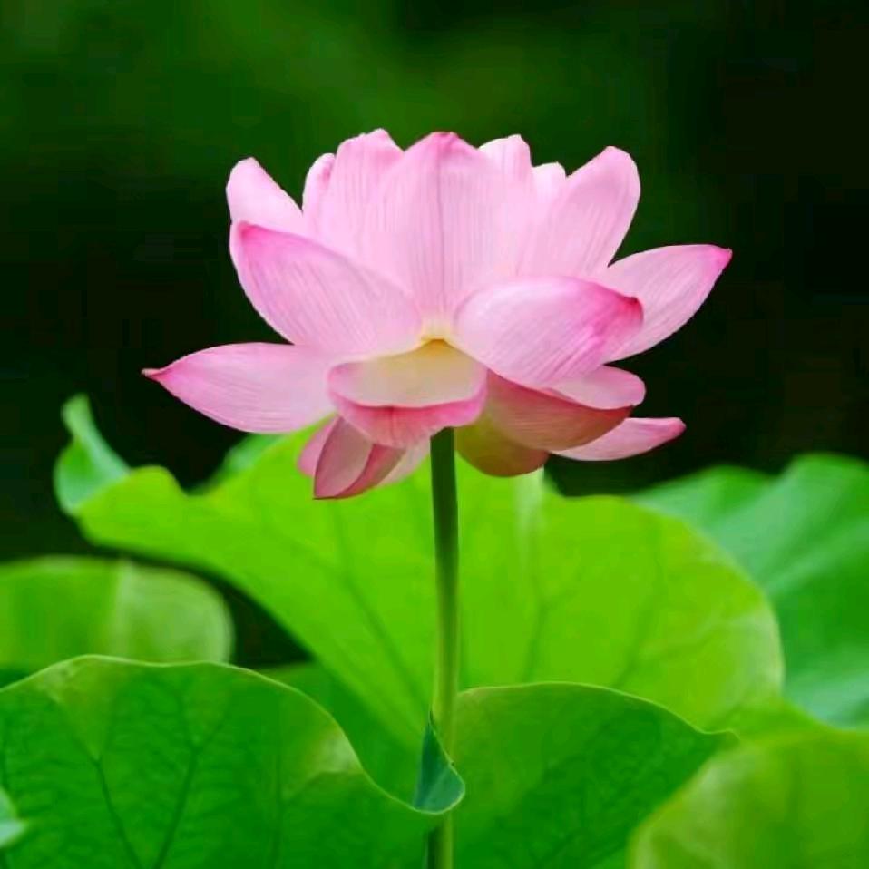 雨过天晴