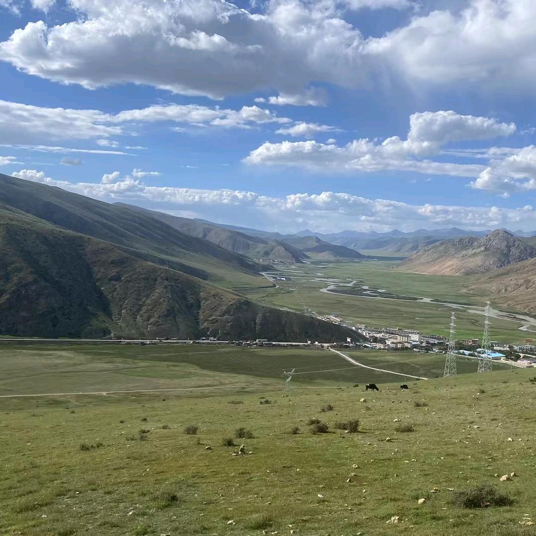 阳阳小宝全能补位