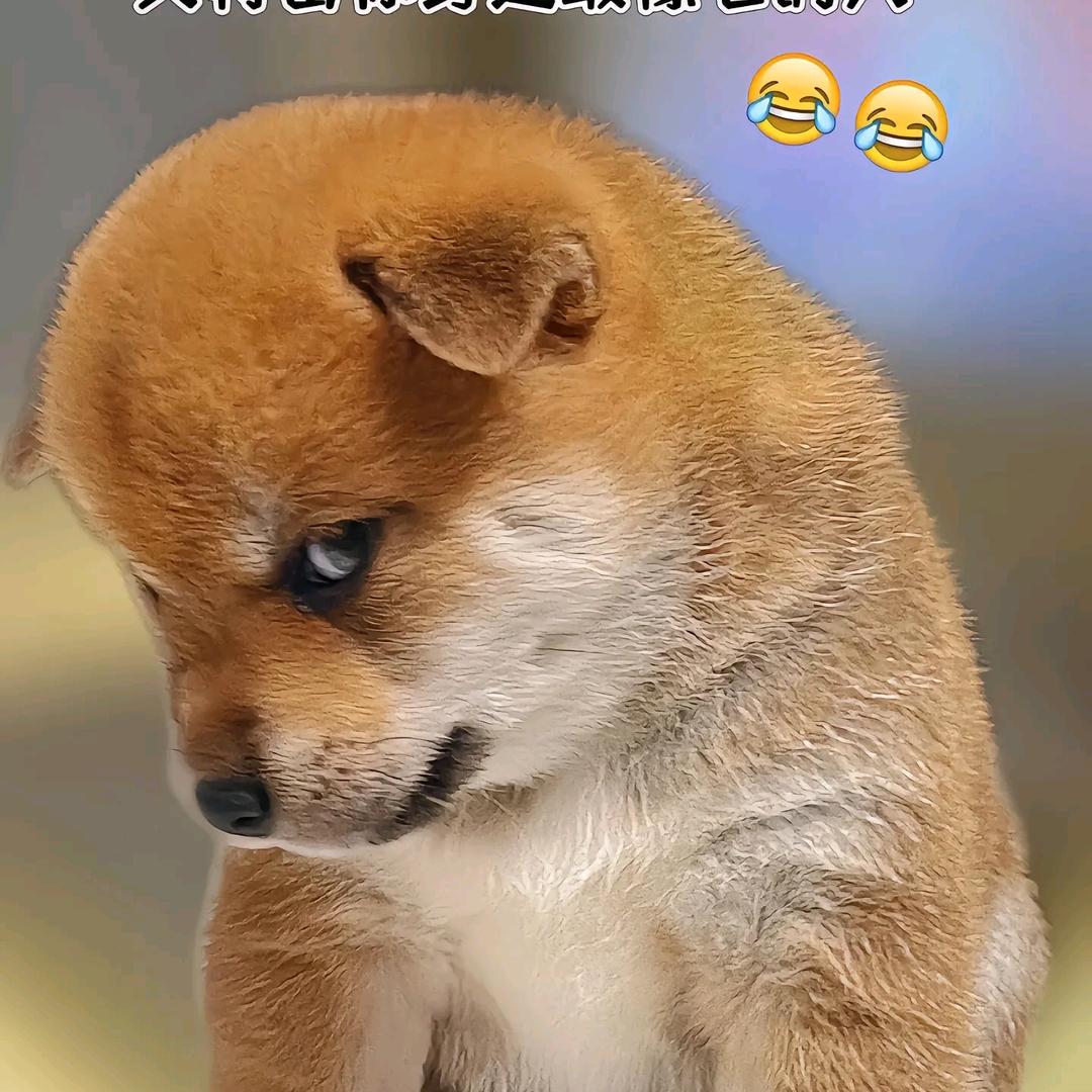 灯火里的尘埃