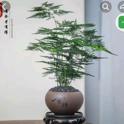 和顺好物