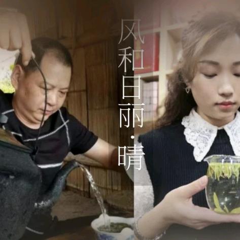 张俊达茶叶