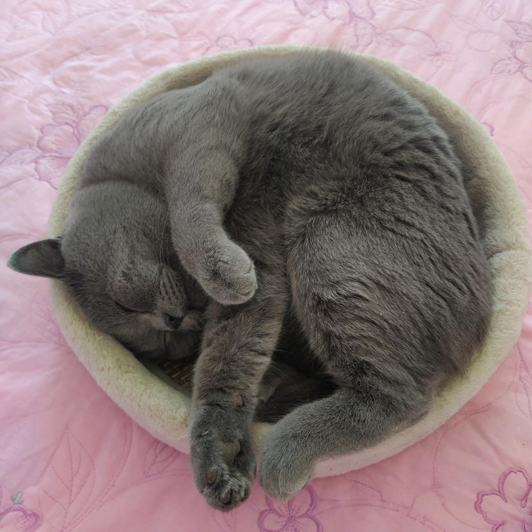 º⁶¹⁶ 五更寒