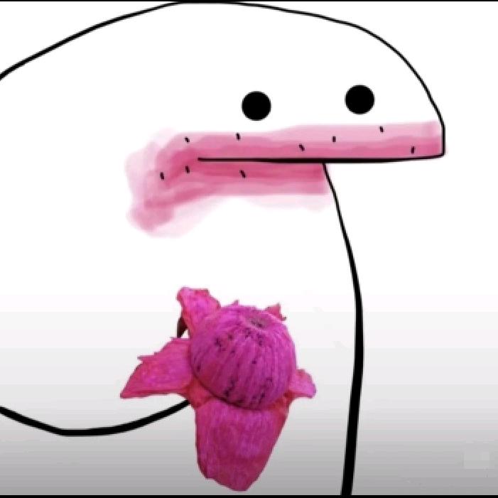 糯米可以吃