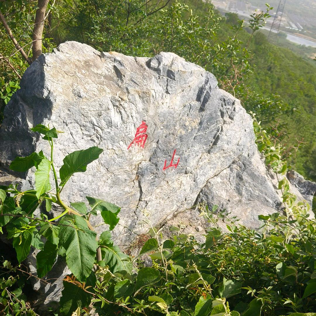 💞⃟前ℯ⃝途ℯ