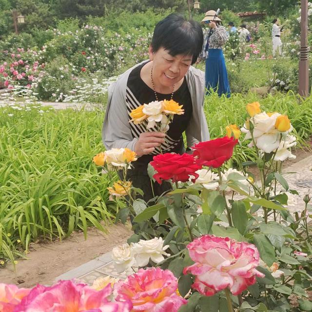 好梦成真……雪芹