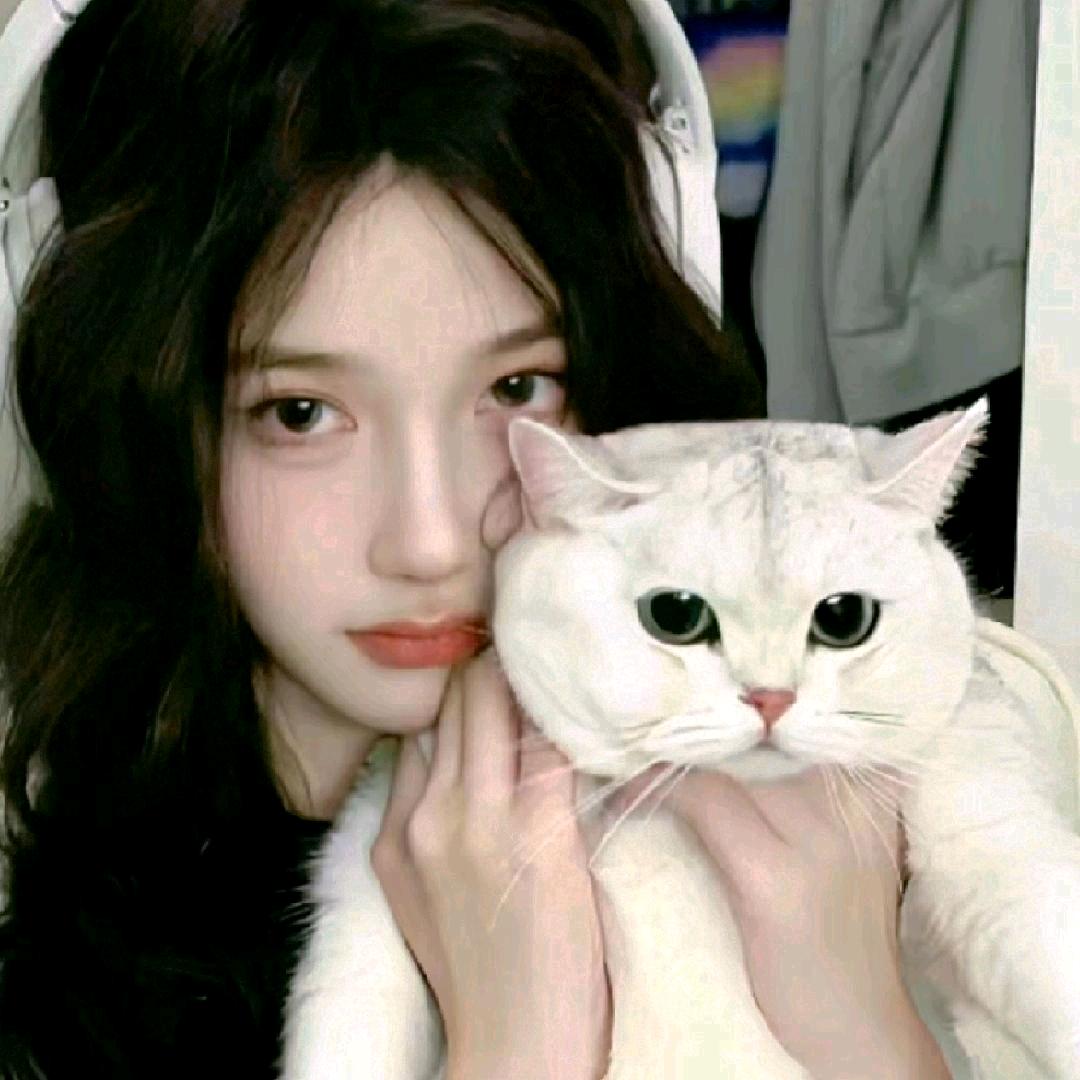 青叶子