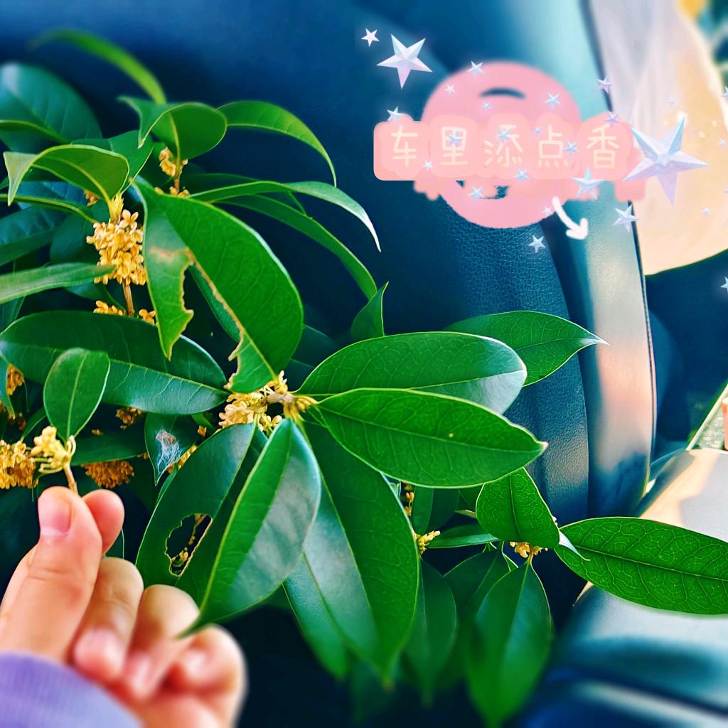 ໑ຼₒ₂₃ღ᭄幸运🕊꧔ꦿ᭄💞