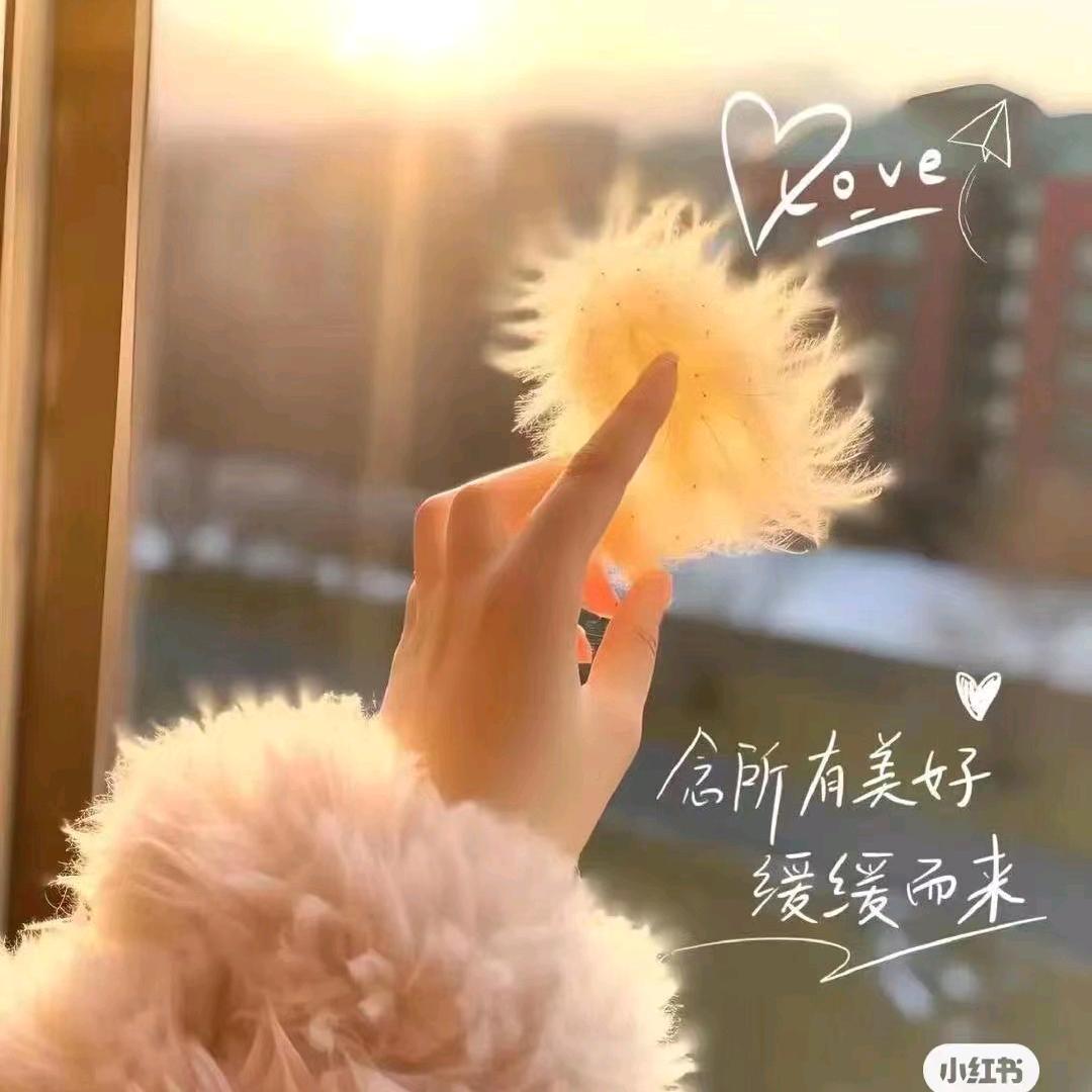 开心每一天365
