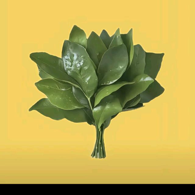 讲故事的塔塔云☁️（互关呦）