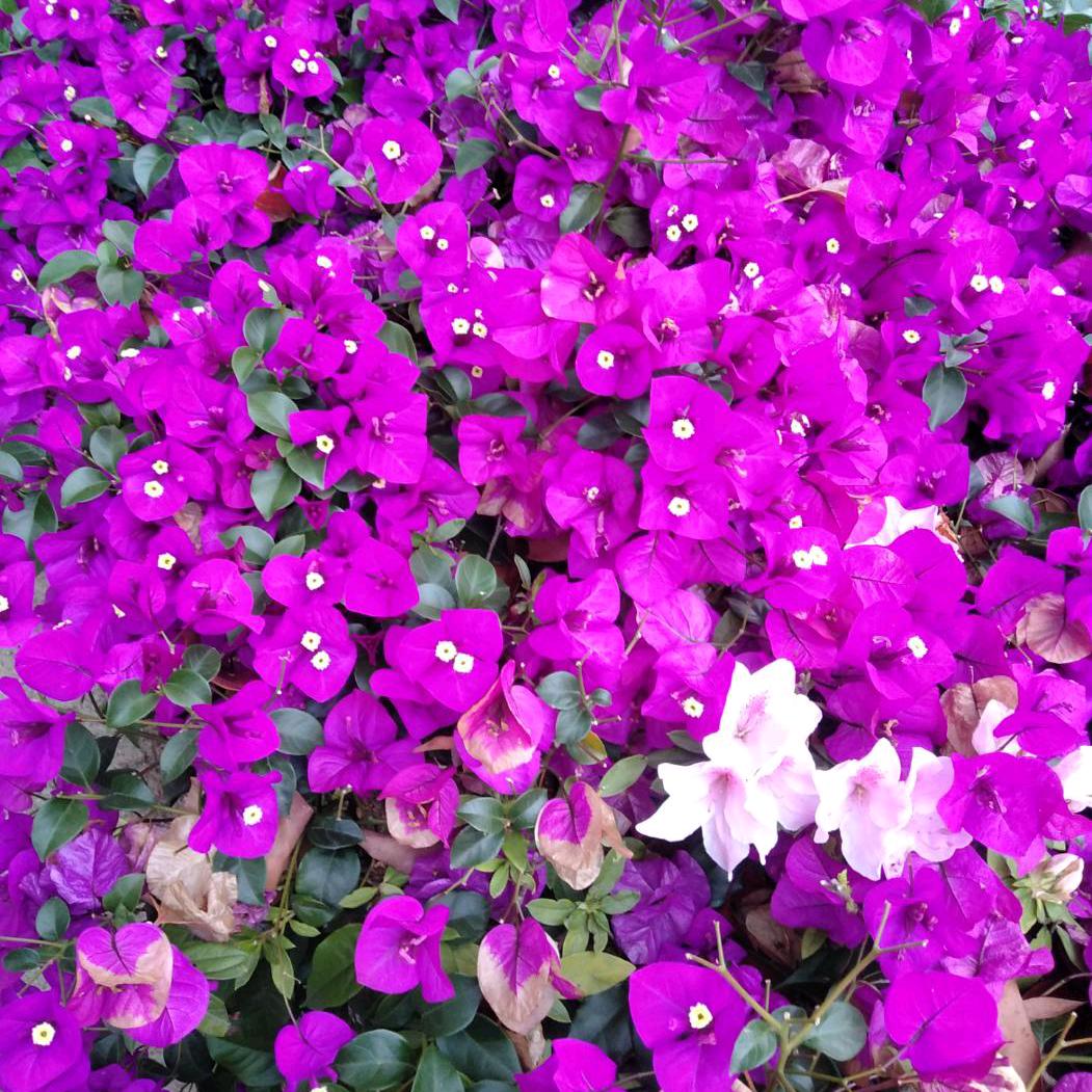 芒市一腾冲
