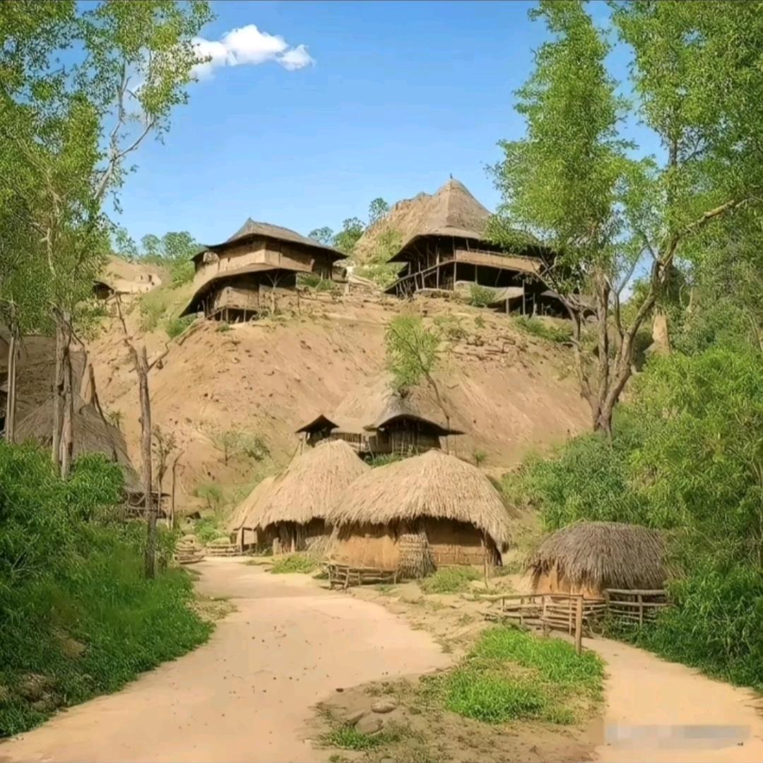 重生哥