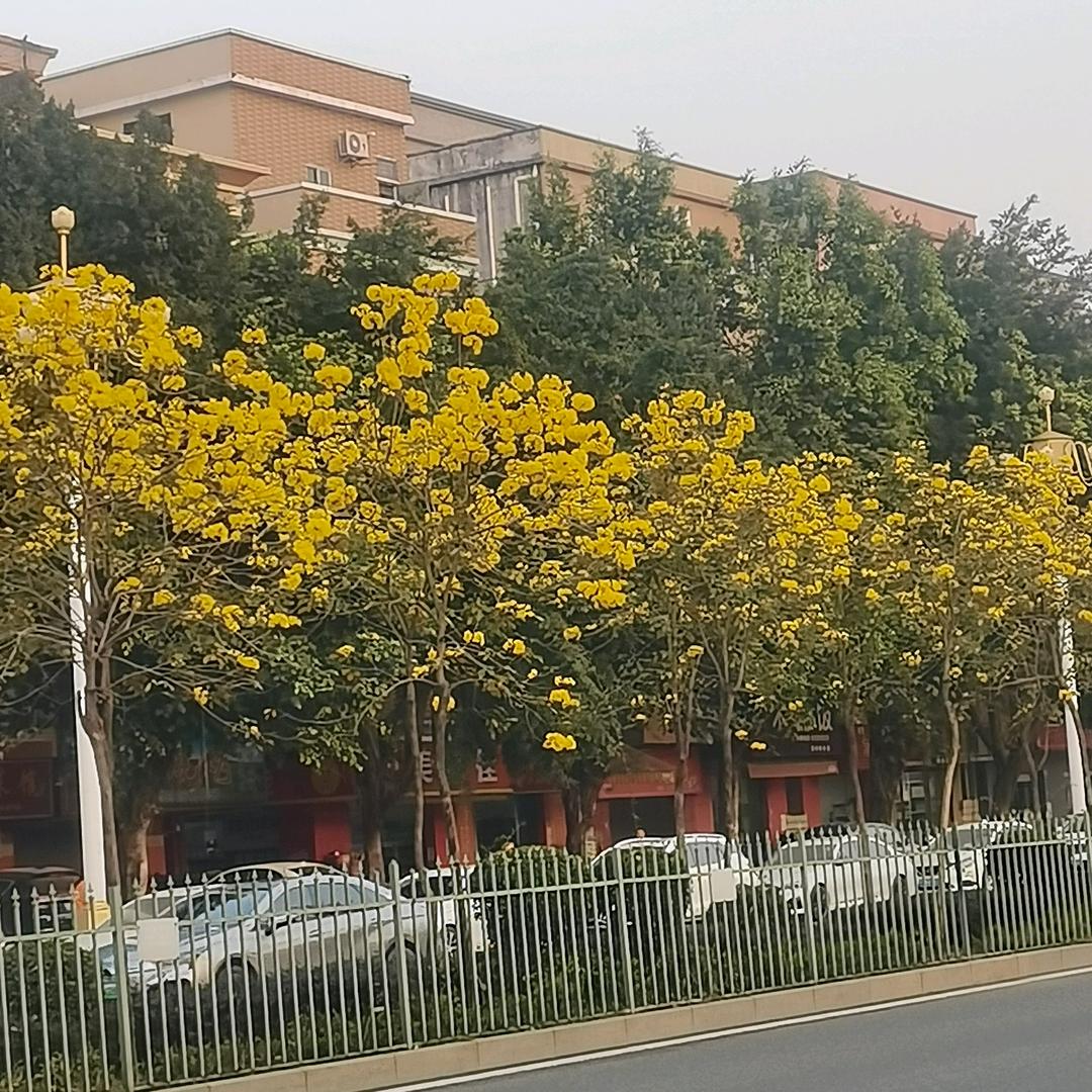 znahg斌
