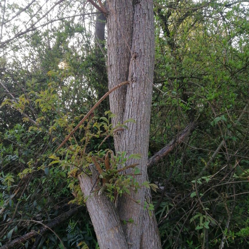 ℘💞᭄᪲ᩚ꯭ᩚ不忘初心💞᭄᪲ᩚ꯭ᩚ