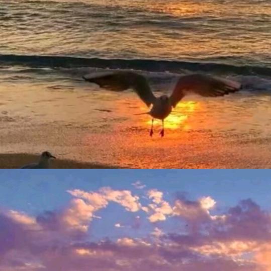 @七✌蛇来运转👌