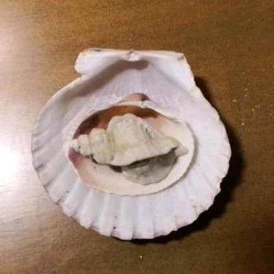 嗨糖糖小猫爱喝奶