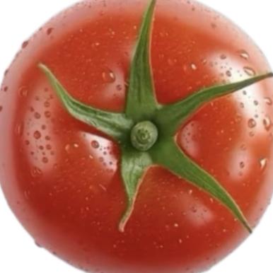 西红柿