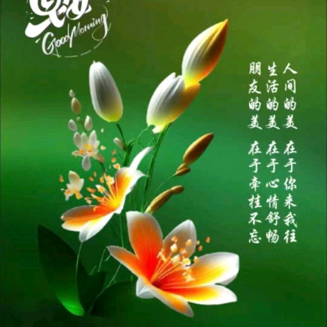 遇见