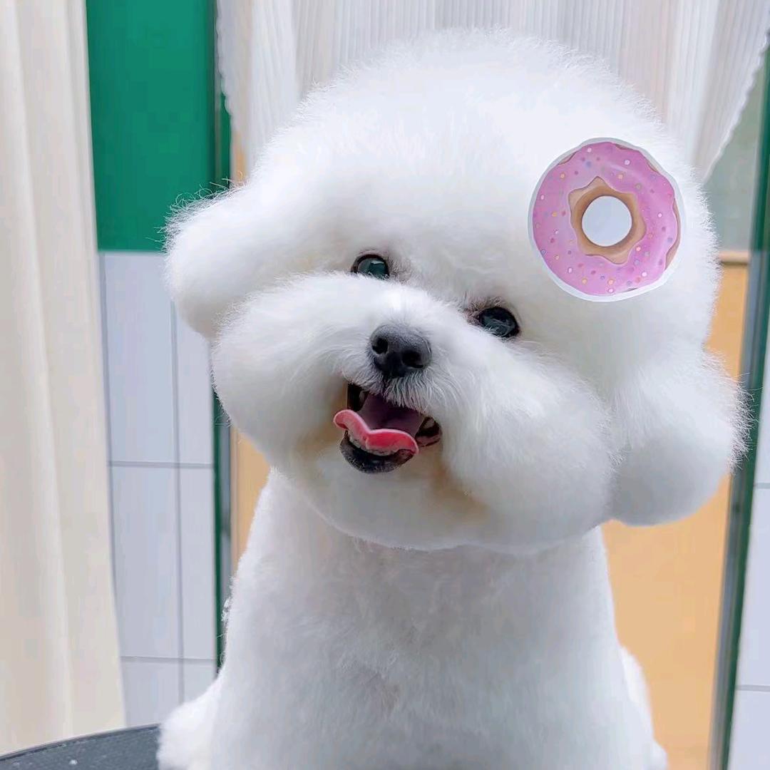 🥀ꦿ꯭穿过🧚‍♀️月色🧚‍♂️相拥