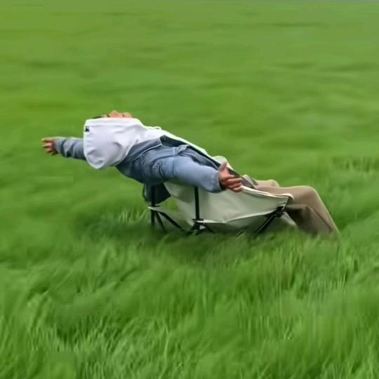 梦忆晨望