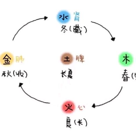 适合都市白领，居家者的中式健康术