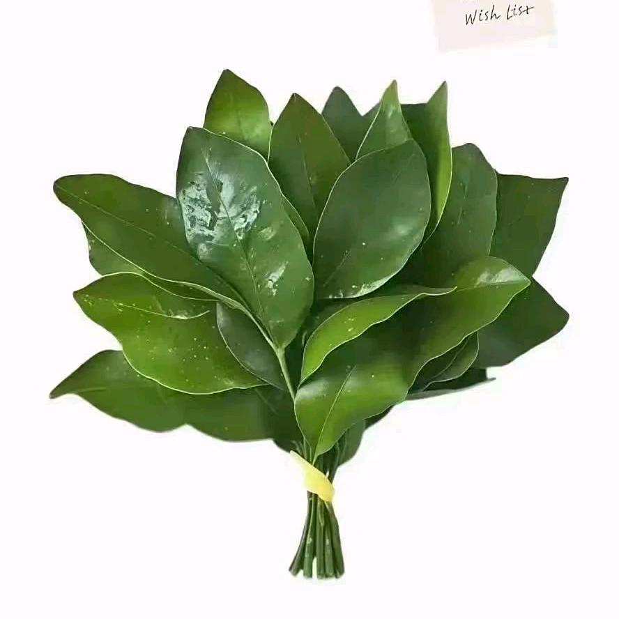 一米七二🧡😙