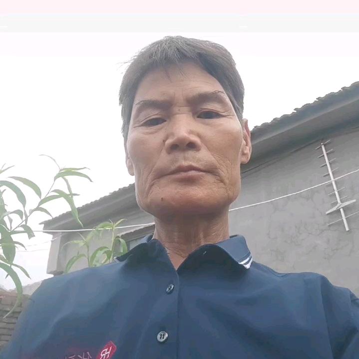 好歌分享