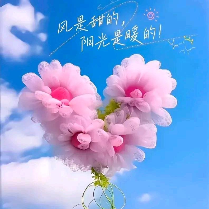 小君君