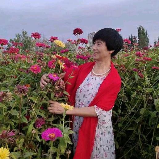 哈密风景兰花草