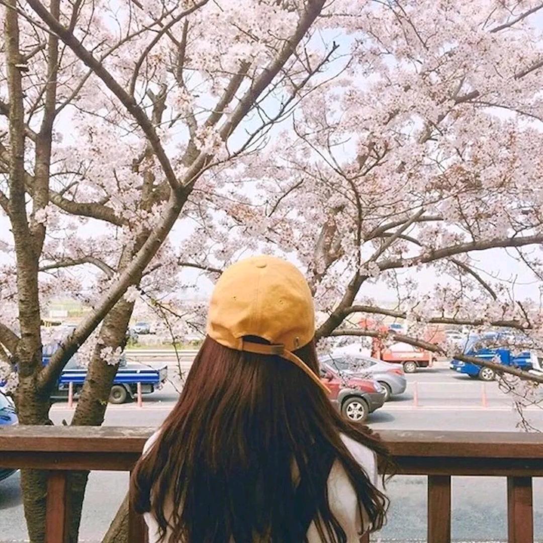 薇姐(私信必回)