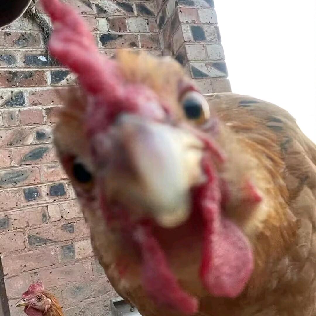 不可逆