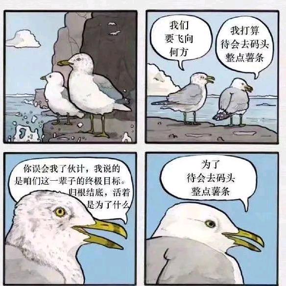 多多不烦恼