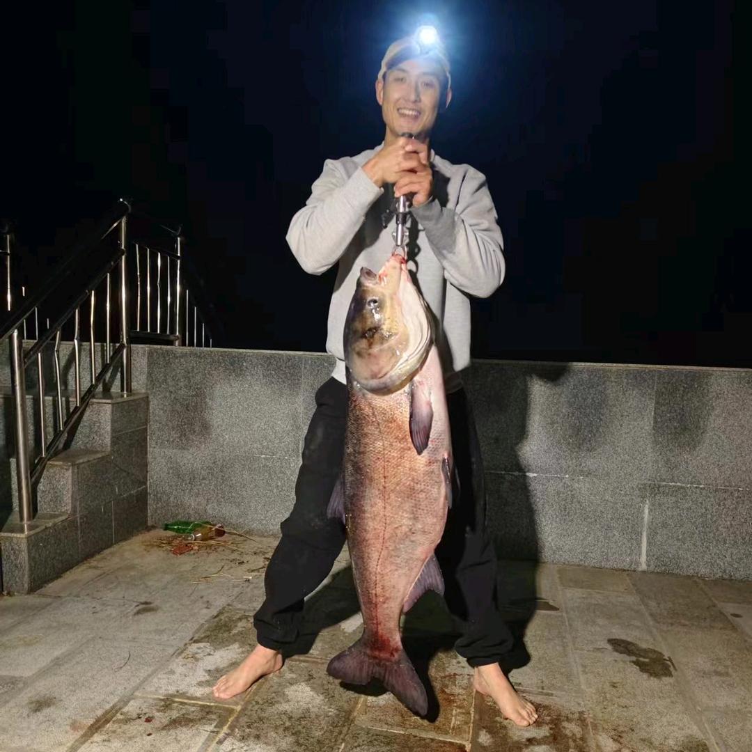 太阳非杀手