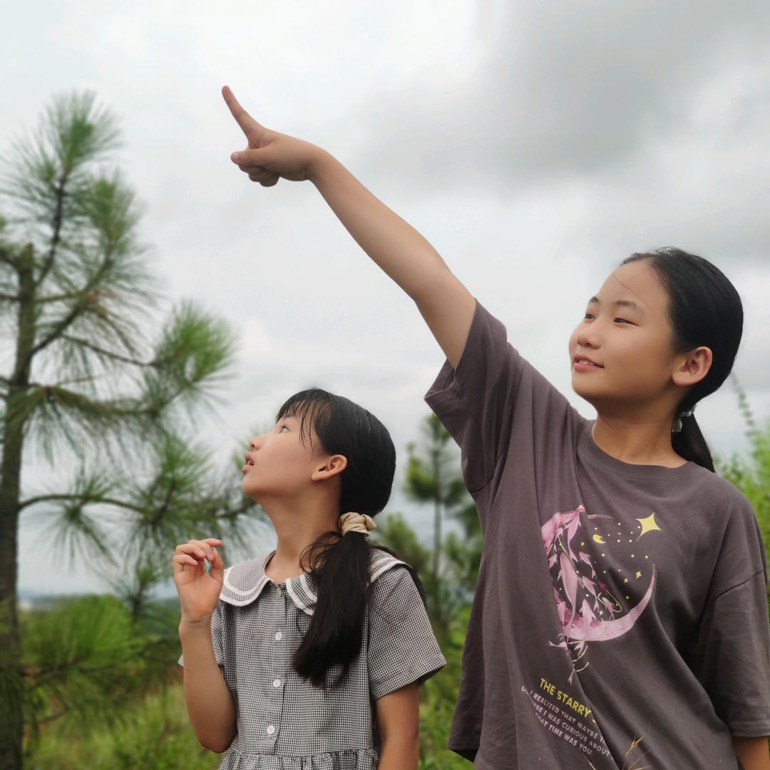 红沙岭商贸水果家园