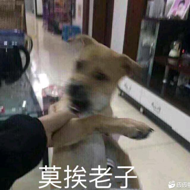 小付同志