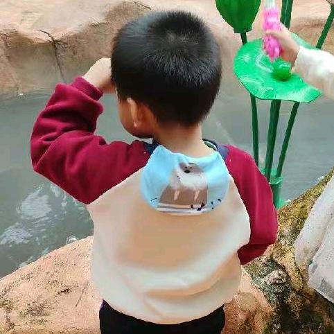 星城娱乐圈