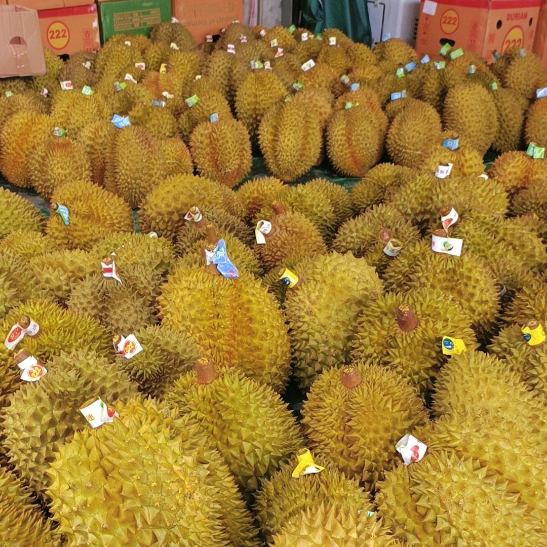 中国🇨🇳心