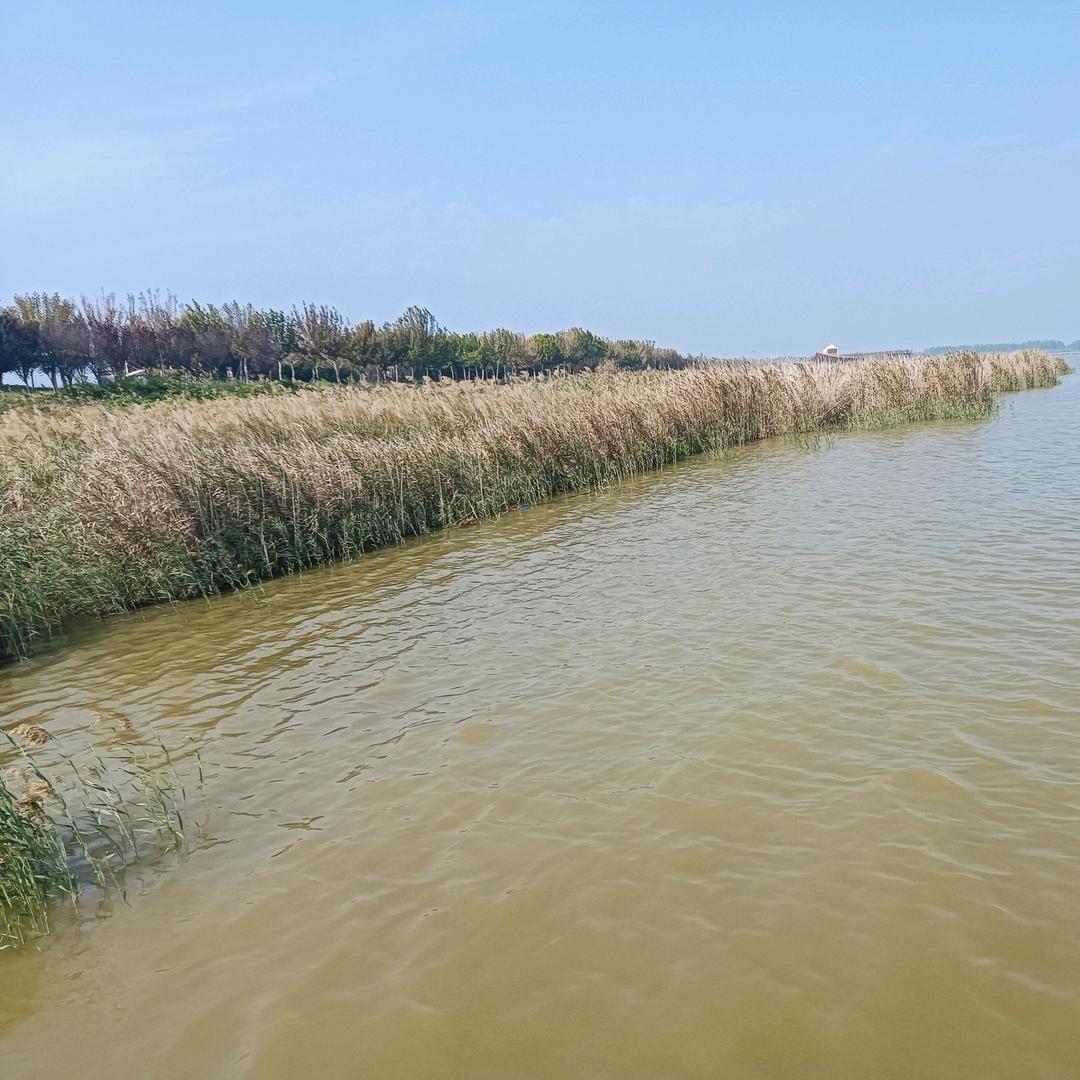 忕佪（释怀）(๑＞ڡ＜)☆