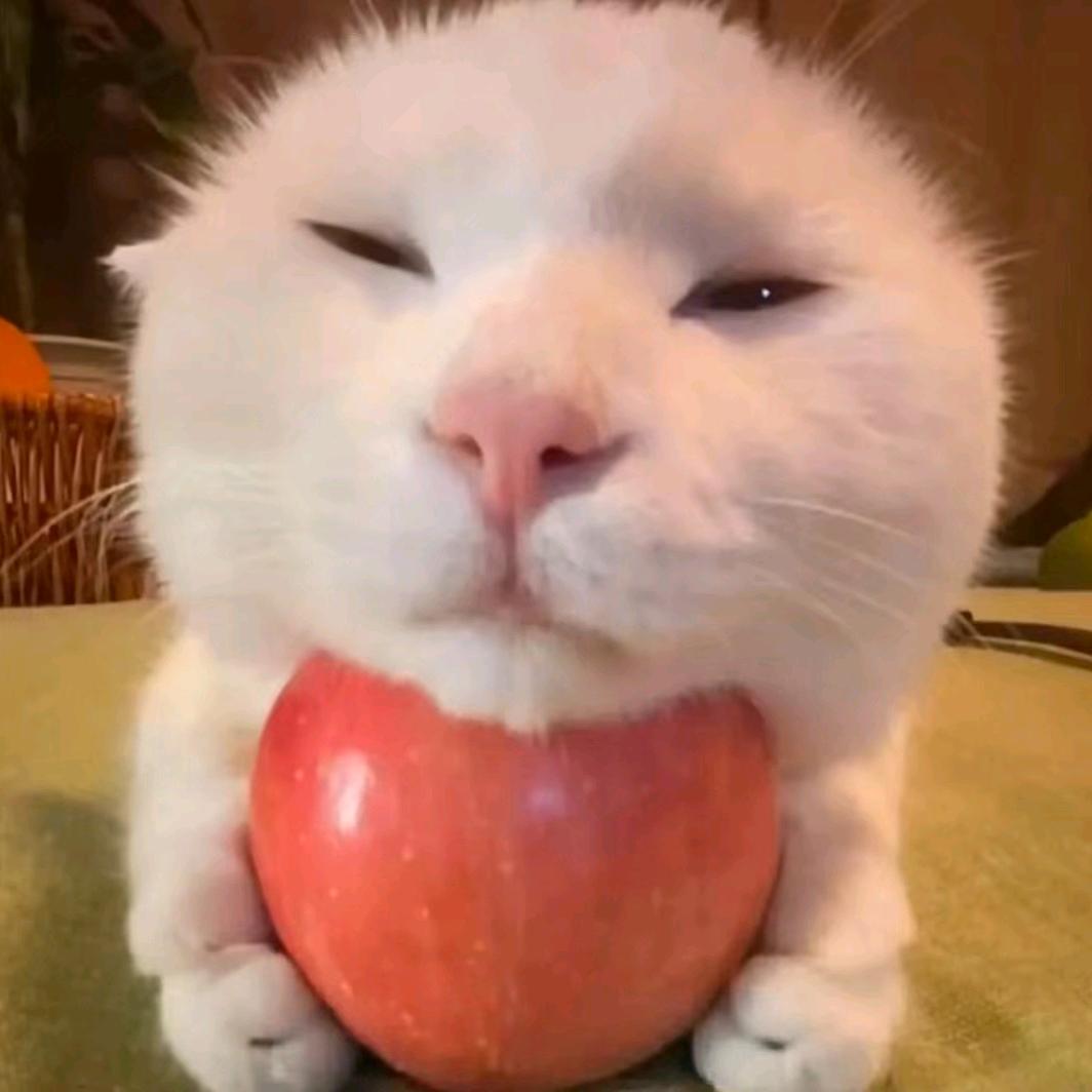 💙小‘’陈🐇⁶⁰⁸