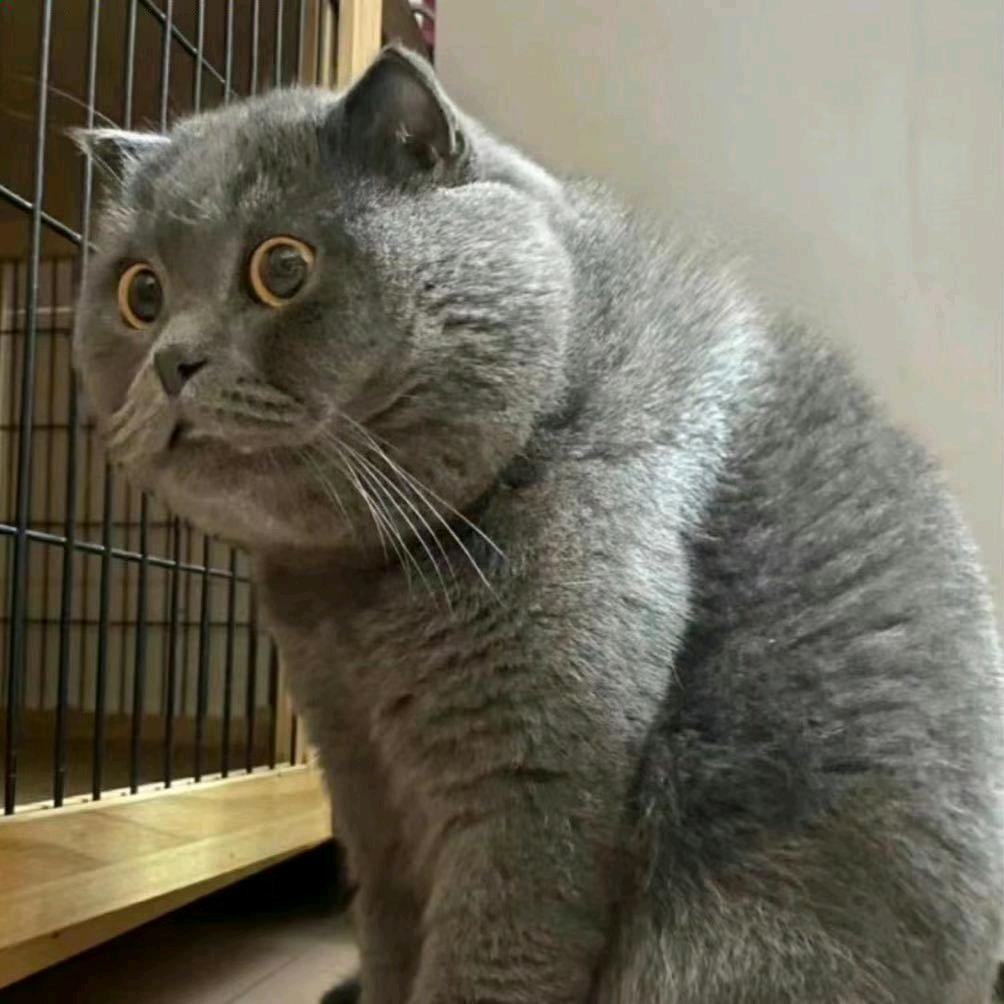 何安澈