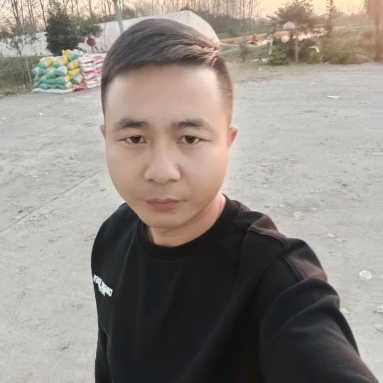 嗡嗡虫