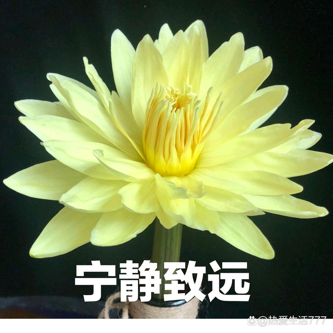 老佛爷！！！