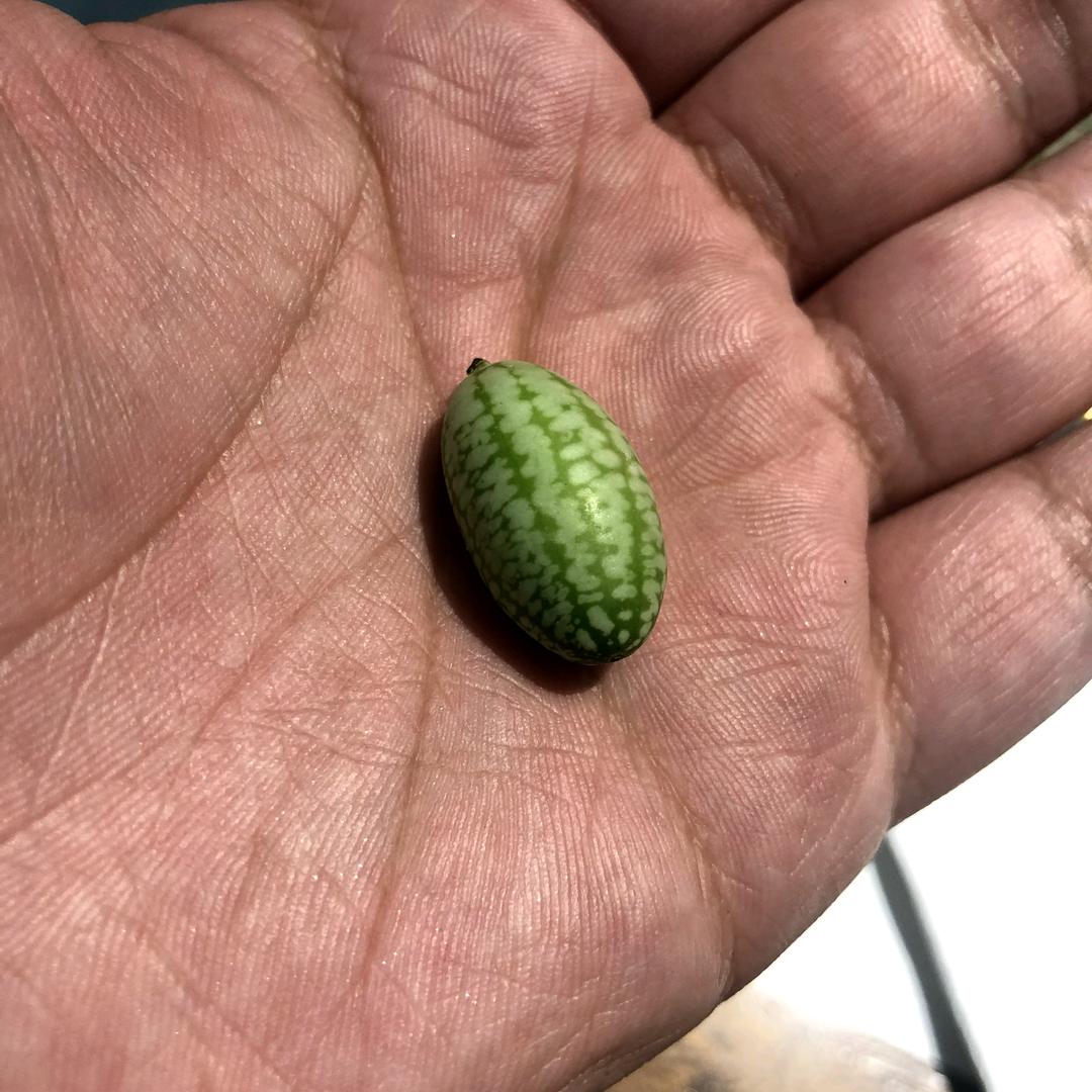 新状况