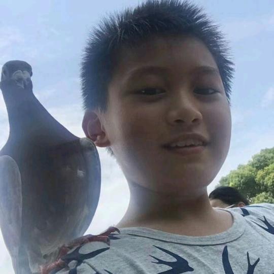 柔情似水，佳期如梦