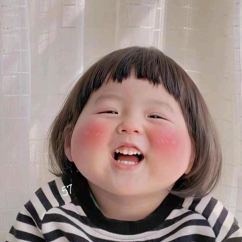 龙猫七七