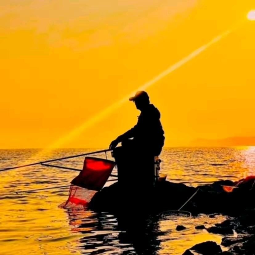 是→张先森®啊◆