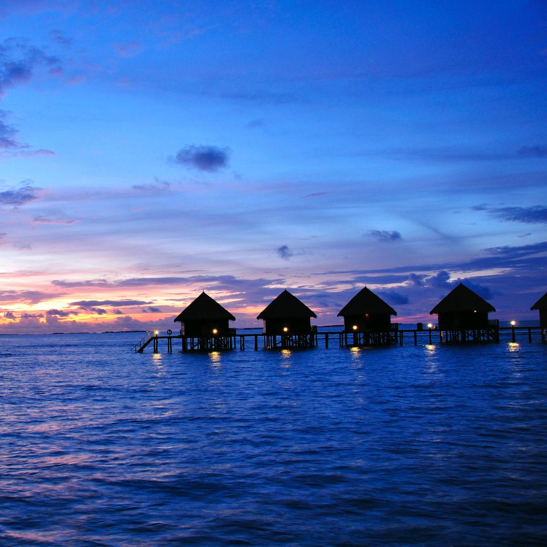 拼搏现实的明天