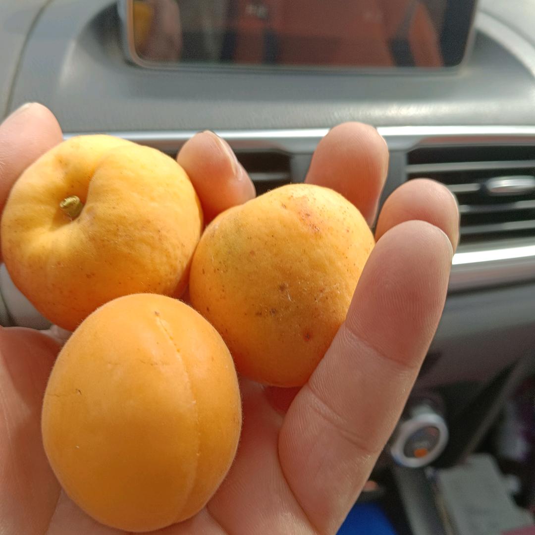 重情重义