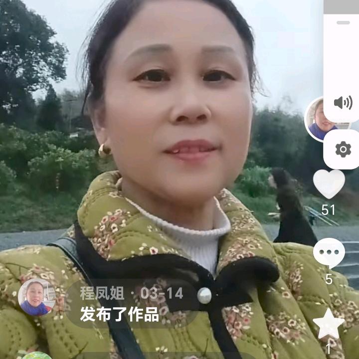 程凤姐