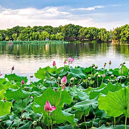 老车新路 (̨̡ ‾᷄ᗣ‾᷅ )̧̢